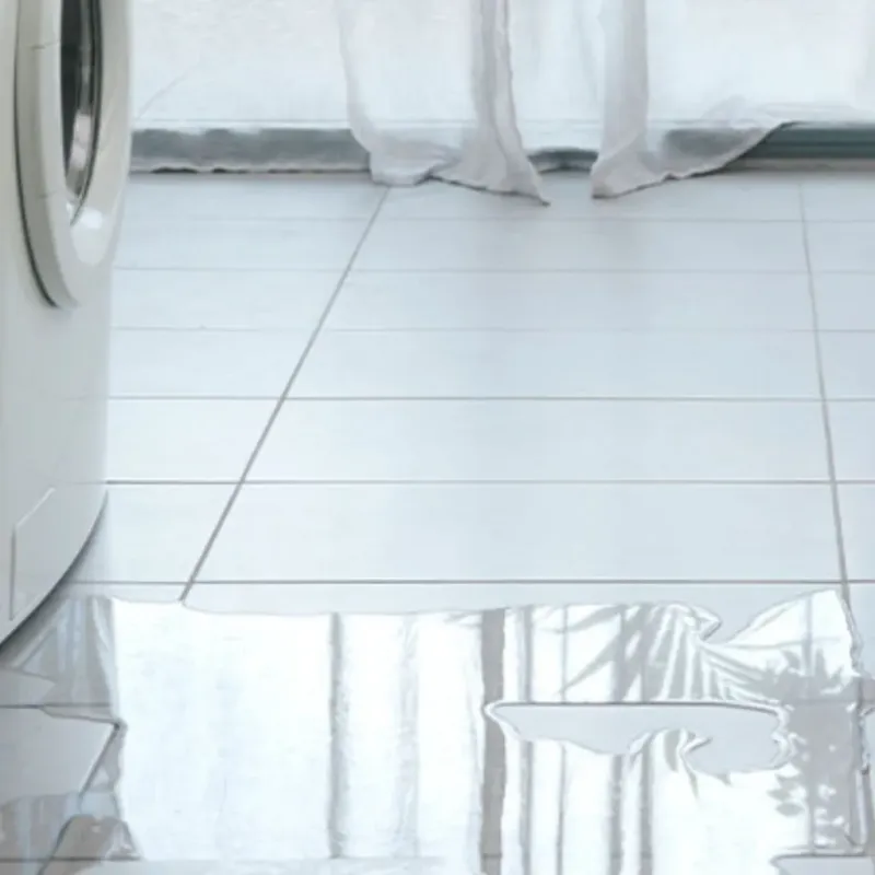 Appliance Leak Cleanup in Carbon Cliff, IL