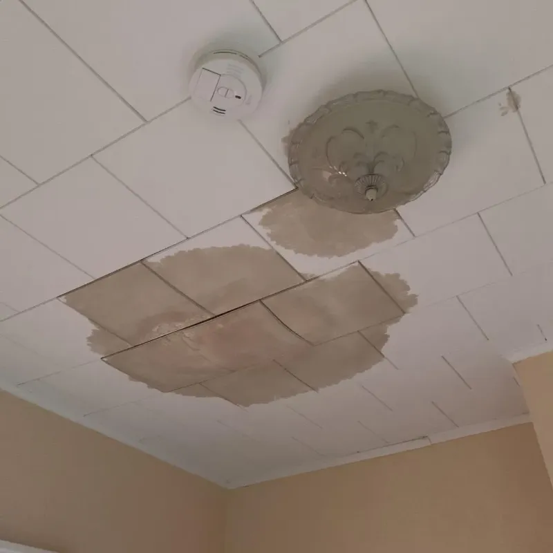 Ceiling Water Damage Repair in Carbon Cliff, IL