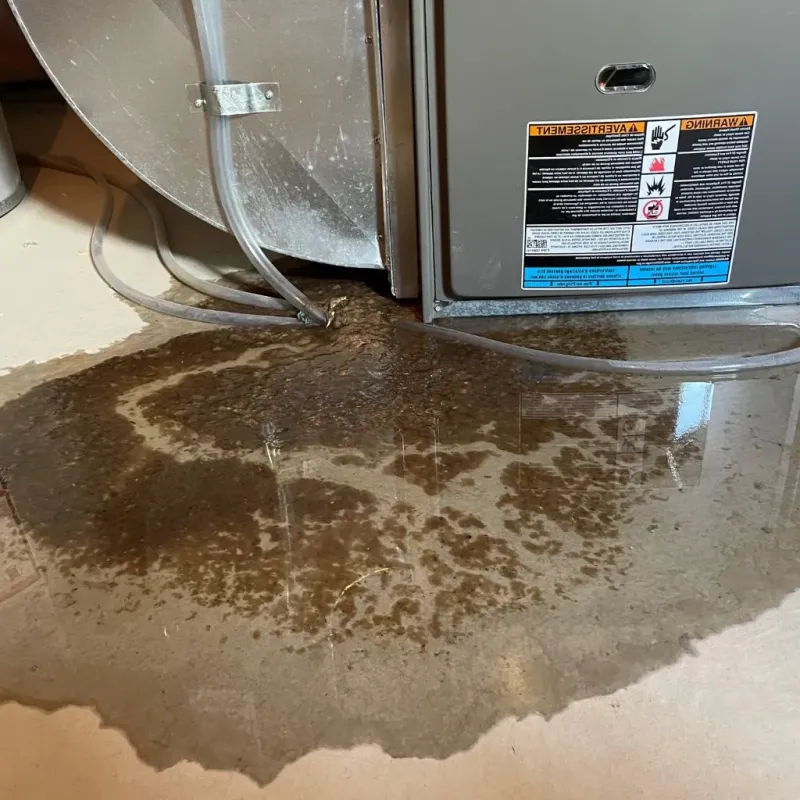 Pipe Burst and Leak Restoration in Carbon Cliff, IL