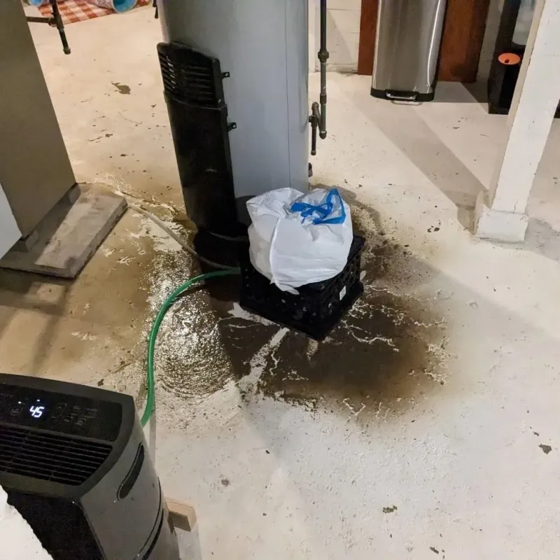 Sewage Backup Cleanup Service in Carbon Cliff, IL